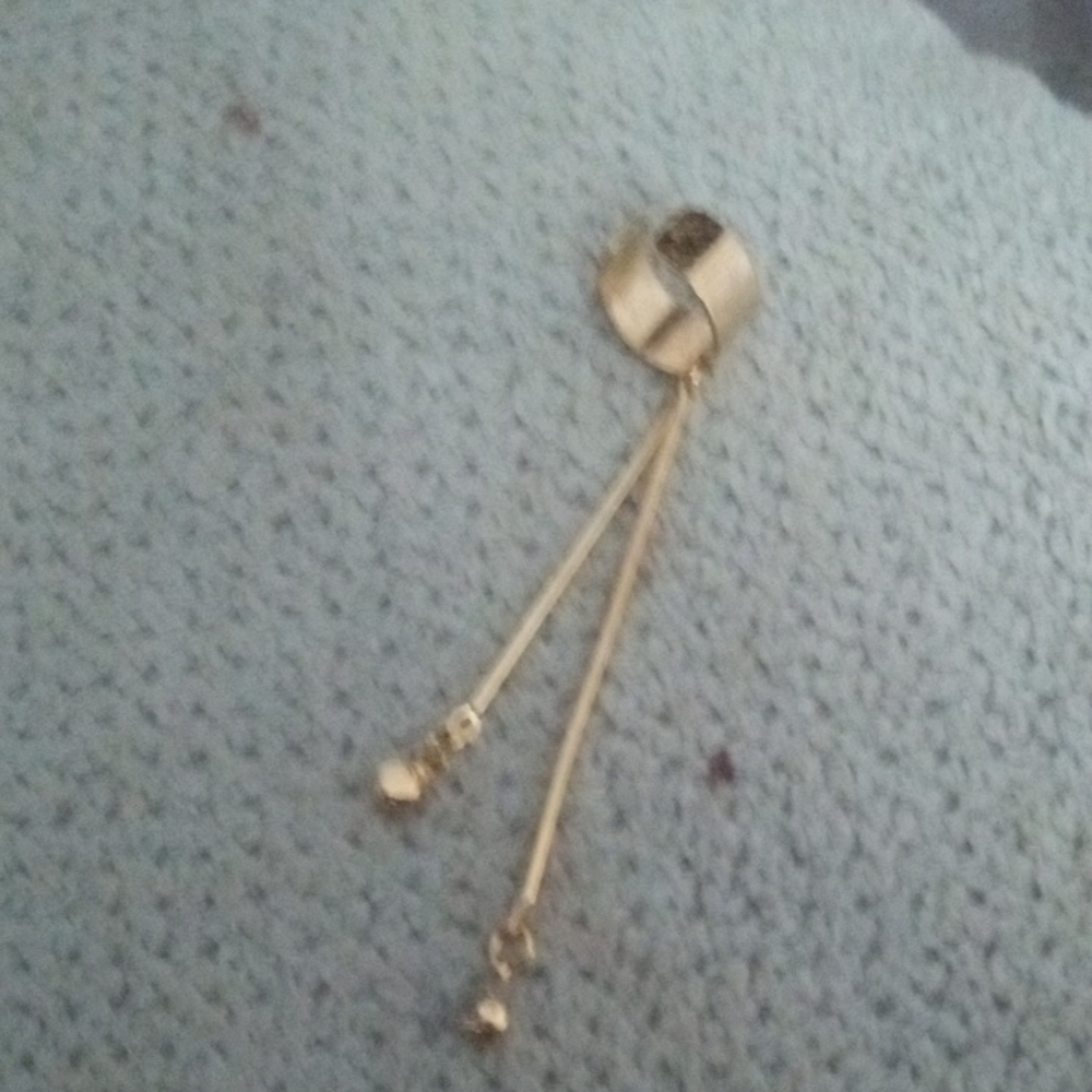 Elegant Gold-Tone Drop Earrings